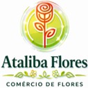 Cliente 33